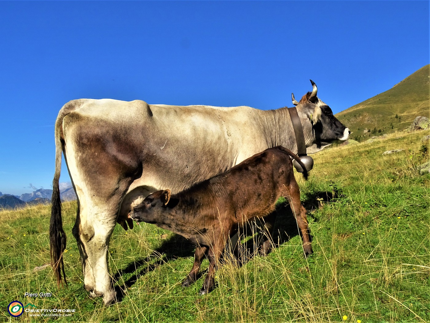 11 Colazione dalla mamma.JPG